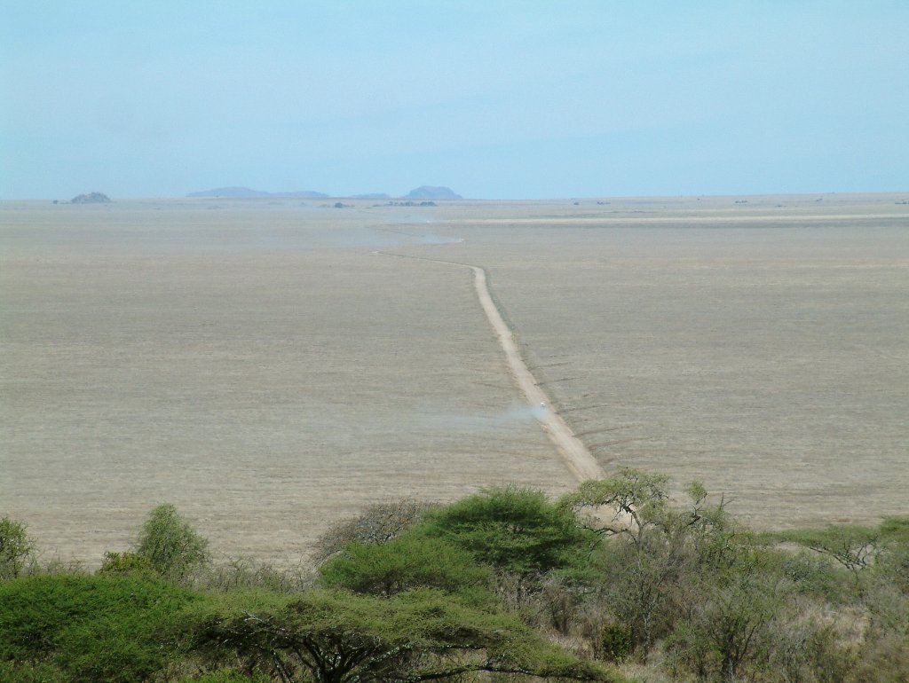 22-Serengeti near Naabi Hill Gate.jpg - Serengeti near Naabi Hill Gate